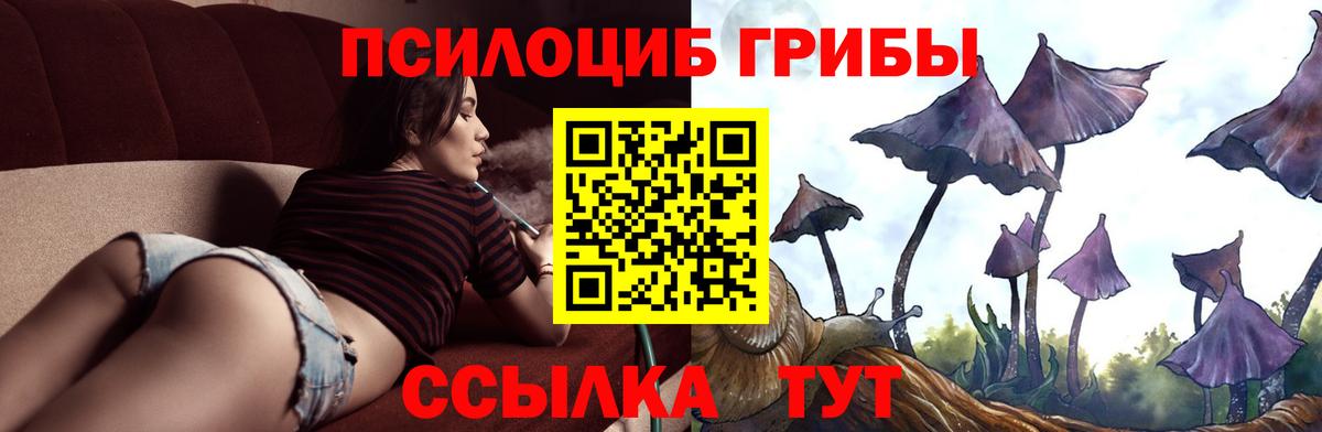 купить наркотики цена  Вход с VPN  Мирный  Псилоцибиновые грибы прущие грибы 