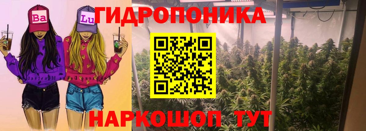 Шишки марихуана гибрид  Вход с VPN  Бошки Шишки Ganja  Мирный 